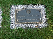 ALT-Aurelia-Aranka