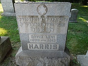 HARRIS-David-Levi