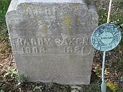 SAXEN-Harry