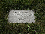 ZIFF-Pearl-Y