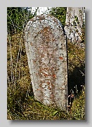 P1040517