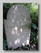 Holubyne-Cemetery-stone-025