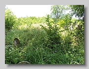 Holubyne-Cemetery-stone-027