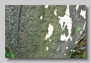 Holubyne-Cemetery-stone-124