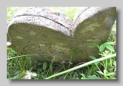Holubyne-Cemetery-stone-182