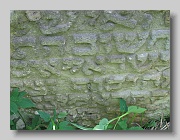 Holubyne-Cemetery-stone-276