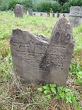 DSCN8155