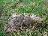 DSCN8157