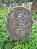 DSCN8217