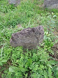 DSCN8228