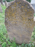 DSCN8280