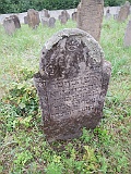 DSCN8354