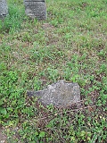 DSCN8358