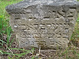 DSCN8361