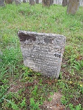 DSCN8373