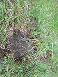 DSCN8385