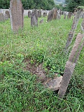 DSCN8409