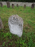 DSCN8410