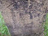 DSCN8420