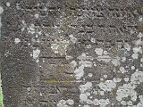 DSCN8503