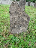 DSCN8524