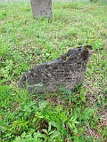 DSCN8525