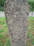 DSCN8546