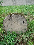 DSCN8555