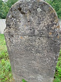 DSCN8646