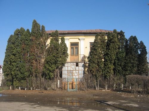 Synagogue Merarilor