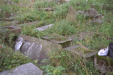 Image 52_0036