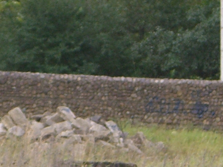 image
60