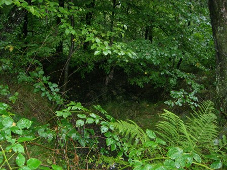 image110