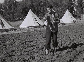 New Immigrant Sows a Field