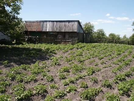supposed site of 6 Jewish homes.jpg (46592 bytes)