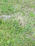 Kolochava-stone-017
