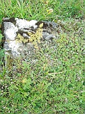 Kolochava-stone-019
