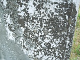 Kolochava-stone-022