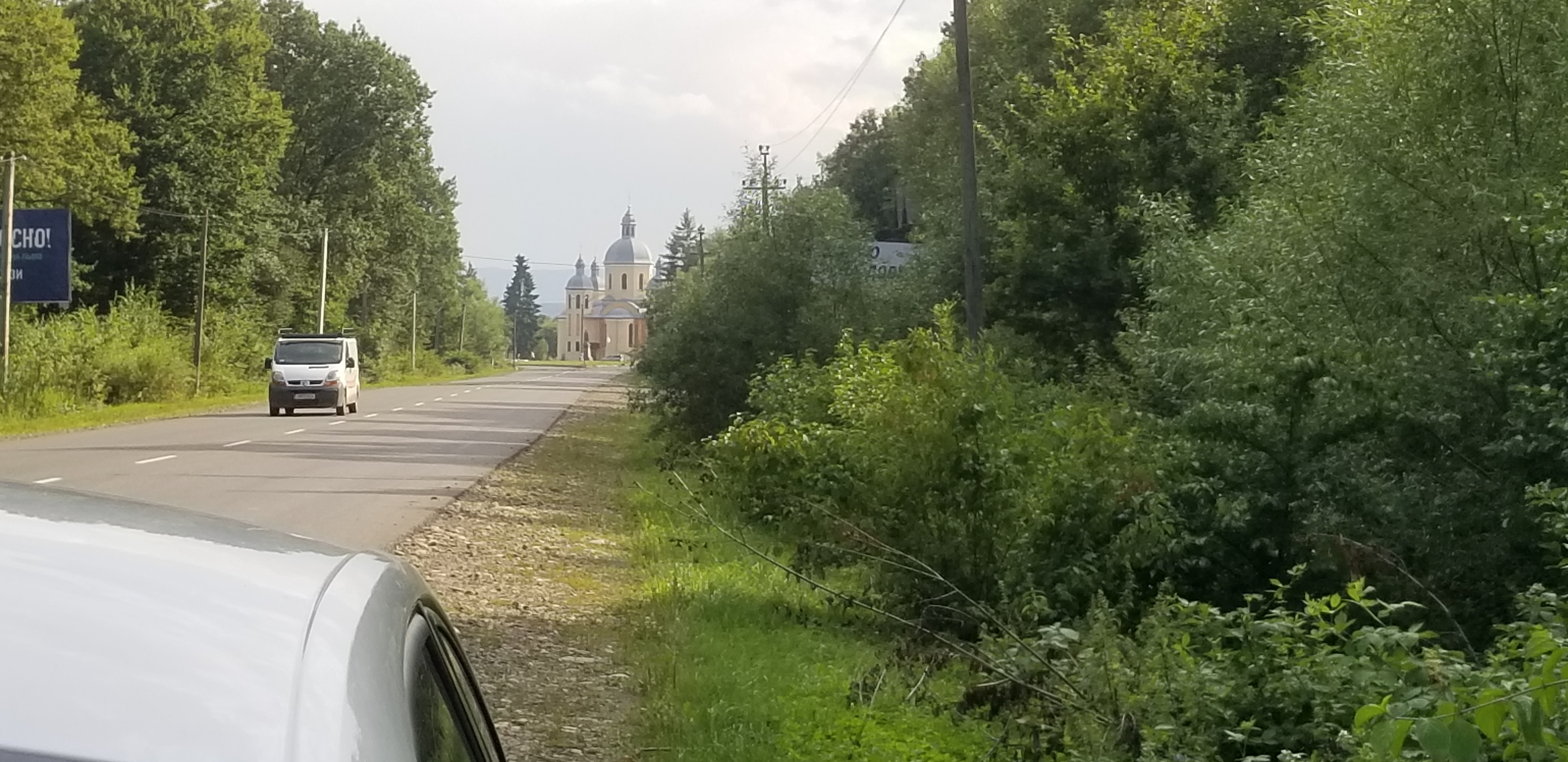Sheparowce Forest outside of Kolomyya