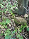 Kopashnovo-tombstone-07