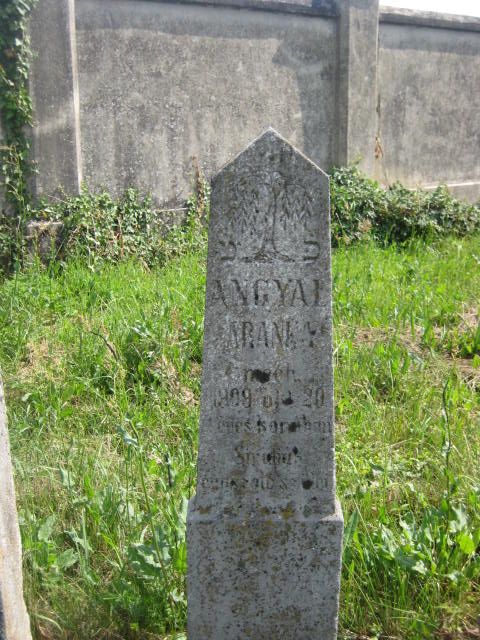 aranka
                  angyal