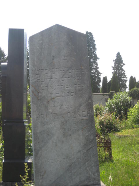 jozsef
                  fritz