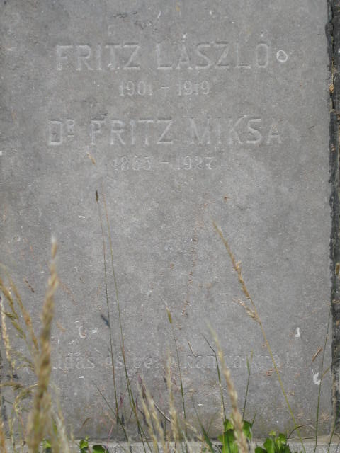laszlo and
                  miksa fritz