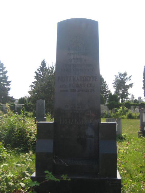 mrs. karoly
                  fritz
