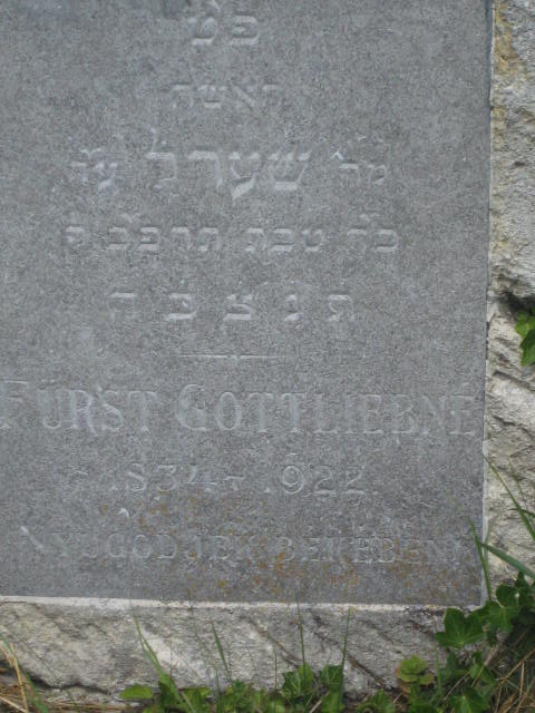 mrs.
                  gottlieb furst