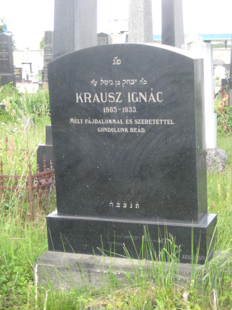 Ignac
                  Krausz