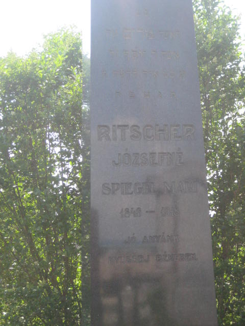 mrs mari
                  ritscher