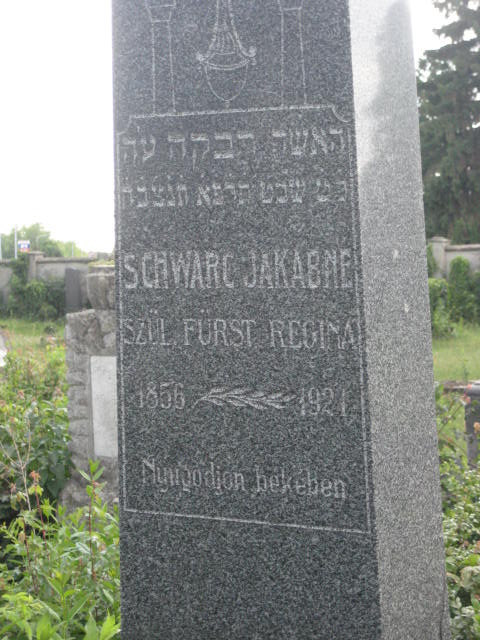 mrs. jakab
                  schwarc