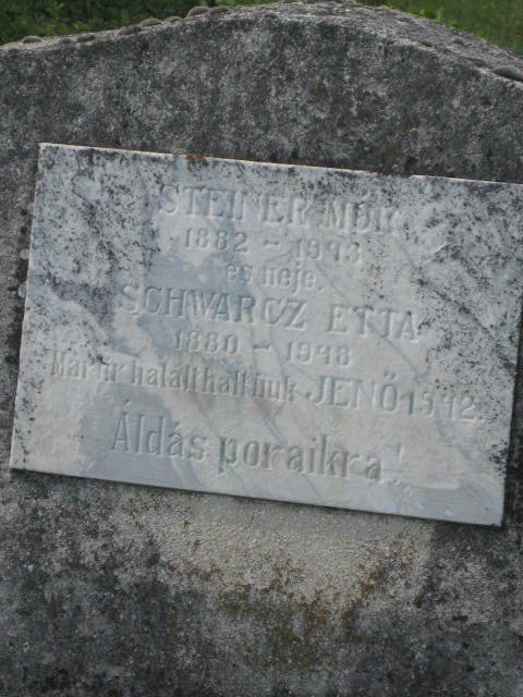 mor
                  steiner
