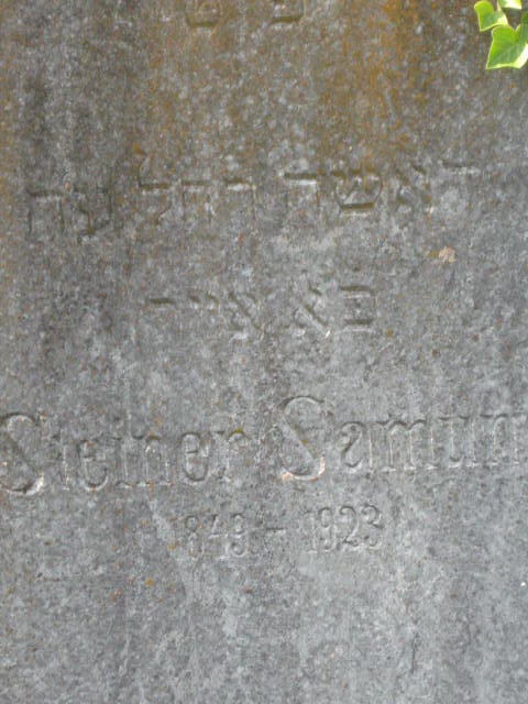 mrs samu
                  steiner